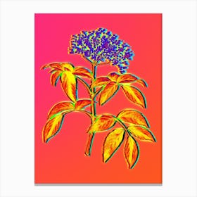 Neon Elderberry Flowering Plant Botanical in Hot Pink and Electric Blue n.0416 Canvas Print