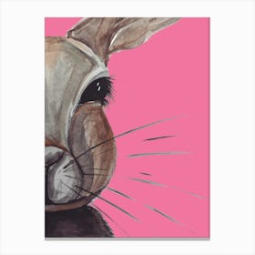 Bunny Rabbit Pink Watercolour Illustration Wildlife Lienzo