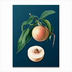 Vintage Peach Botanical Art on Teal Blue n.0596 Canvas Print