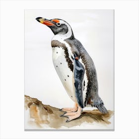 Humboldt Penguin Kangaroo Island Penneshaw Watercolour Painting 3 Canvas Print