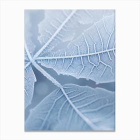 Frosty Leaf 1 Canvas Print