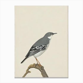Mockingbird Illustration Bird Canvas Print