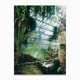 Cuninghams Botanic Garden Ii Canvas Print