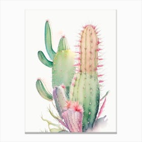 Ladyfinger Cactus Pastel Watercolour Canvas Print