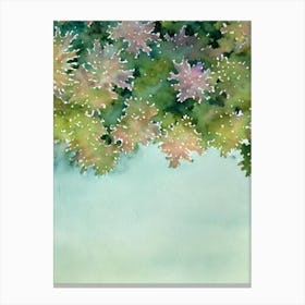 Acropora Palifera Ii Storybook Watercolour Canvas Print