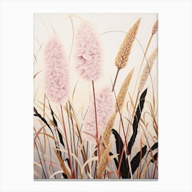 Flower Illustration Fountain Grass 4 Canvas Print