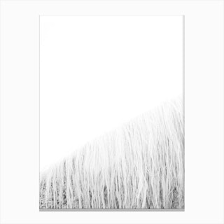 White Horse I Canvas Print