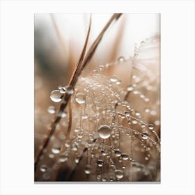 Rain Drops Canvas Print