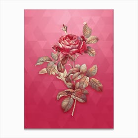 Vintage Red Gallic Rose Botanical in Gold on Viva Magenta n.0463 Canvas Print