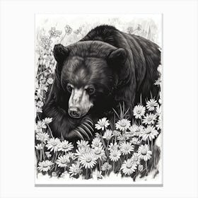 Malayan Sun Bear Resting In A Field Of Daisies Ink Illustration 4 Canvas Print