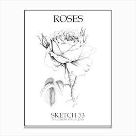 Roses Sketch 53 Poster Canvas Print