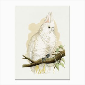 Cockatoo 1 Canvas Print