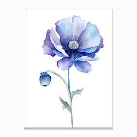 Watercolor Blue Poppy Canvas Print