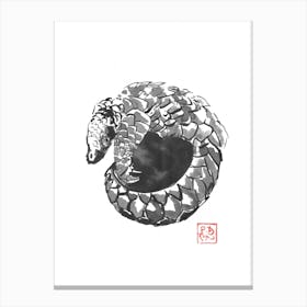 Pangolin Canvas Print