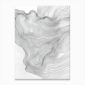 Abstract Line Drawing 3 Canvas Print