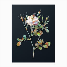Vintage Anemone Flowered Sweetbriar Rose Botanical Watercolor Illustration on Dark Teal Blue n.0567 Canvas Print