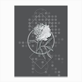 Vintage Pott's Chinese Peony Botanical with Line Motif and Dot Pattern in Ghost Gray n.0344 Canvas Print