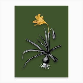 Vintage Amaryllis Broussonetii Black and White Gold Leaf Floral Art on Olive Green n.1147 Canvas Print