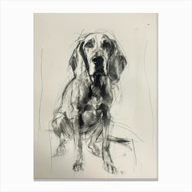 American English Hound Dog Charcoal Line 1 Canvas Print