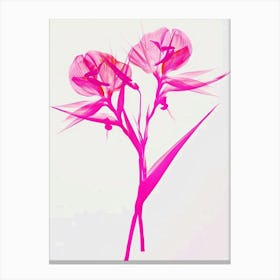 Hot Pink Bird Of Paradise 1 Canvas Print