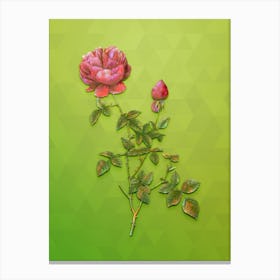 Vintage Pink Autumn China Rose Botanical Art on Love Bird Green n.0361 Canvas Print