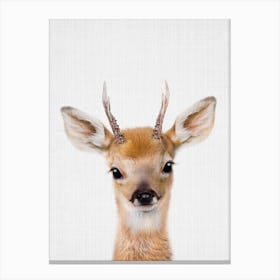 Peekaboo Dear Canvas Print