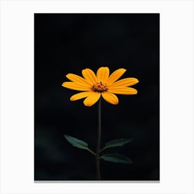 Single Yellow Flower 31 Canvas Print