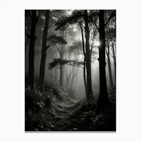 Dark Forest 3 Canvas Print