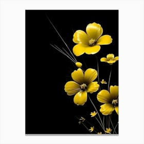 Yellow Flowers On Black Background Canvas Print