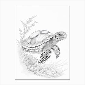 Hatching Sea Turtle, Sea Turtle Quentin Blake Illustration 1 Canvas Print