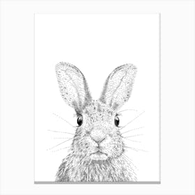 Bunny Animal Print Canvas Print