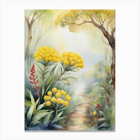 Australias National Flower, Golden Wattle Canvas Print