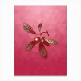 Vintage Crabapple Botanical in Gold on Viva Magenta n.0724 Canvas Print