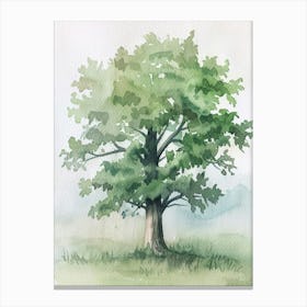 Chestnut Tree Atmospheric Watercolour Painting 6 Canvas Print