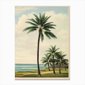 Middleton Beach Australia Vintage Canvas Print