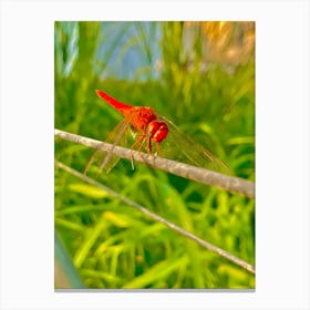 Dragonfly on a tree branch Canvas Print