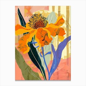 Colourful Flower Illustration Marigold 3 Canvas Print