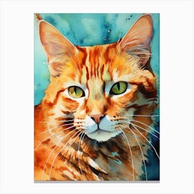 Orange Tabby Cat 6 Canvas Print