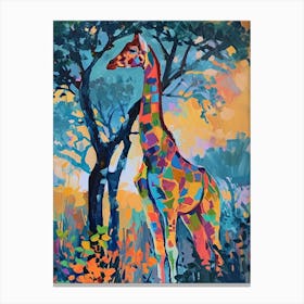 Giraffe Under The Acacia Tree 2 Canvas Print