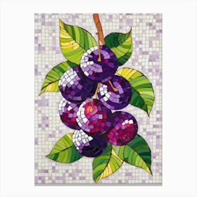 Plums Canvas Print