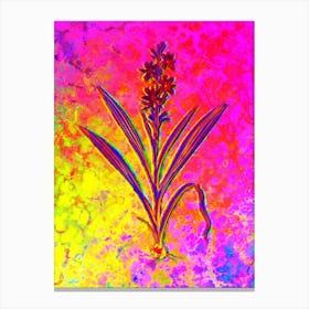 Wachendorfia Thyrsiflora Botanical in Acid Neon Pink Green and Blue n.0248 Canvas Print