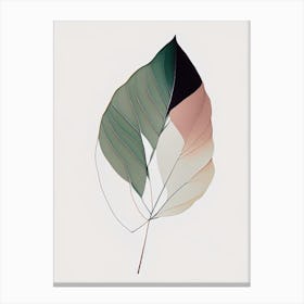 Eucalyptus Leaf Abstract Canvas Print