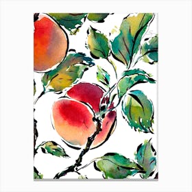 Watercolor and Ink Art Garden Fruit Pink Peach Canvas Print