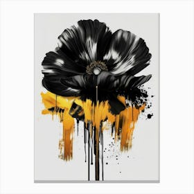 Black Poppy 4 Canvas Print