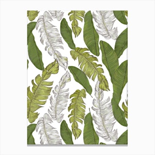 Tropical Leaves White Canvas Print