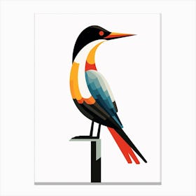 Colourful Geometric Bird Cormorant 2 Canvas Print