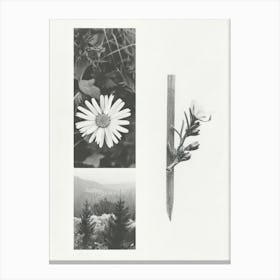 Daisy Flower Photo Collage 1 Canvas Print