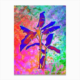 Scarlet Banana Botanical in Acid Neon Pink Green and Blue Canvas Print