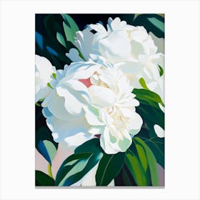 Gardenia Peonies White Colourful 1 Painting Canvas Print