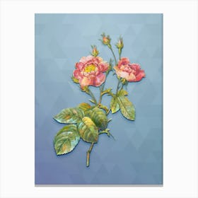 Vintage Anemone Centuries Rose Botanical Art on Summer Song Blue n.0165 Canvas Print